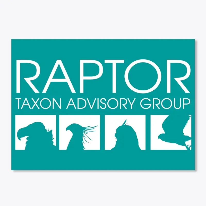 Raptor TAG (light logo)